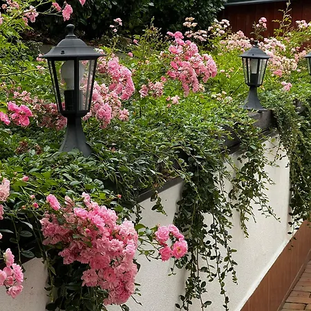 Casa vacanze SG chalupa ŠTIKOV - Podkrkonoší - s celoročním privátním wellness *